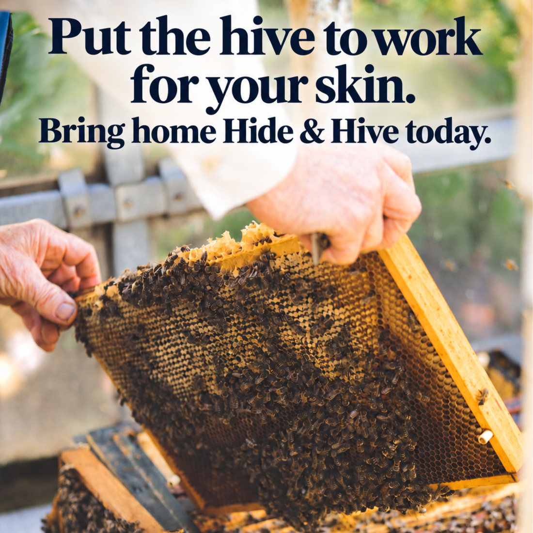 Tallow and Honey Balm: Fat, Hive Ingredients Wax, No Chemical Fillers