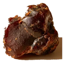 Propolis