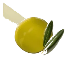 Olive Oil